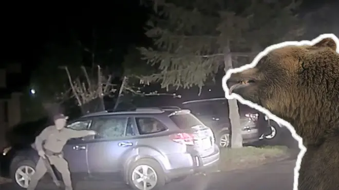 Полицейский разбивает стекло