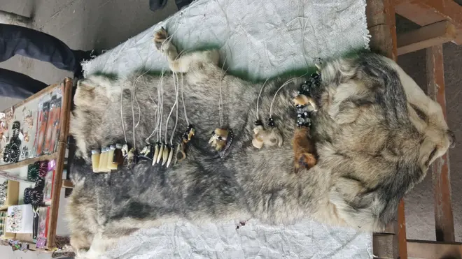 Ўзбекистон Қамчиқ довони 2019 йил