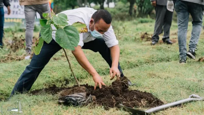 Duulli biqiltuu dhaabuu guddina jijjiirama qilleensaa dandamatu mirkaneessuuf yaalii taasifamudha jedhaniiru MM Abiy Ahimad