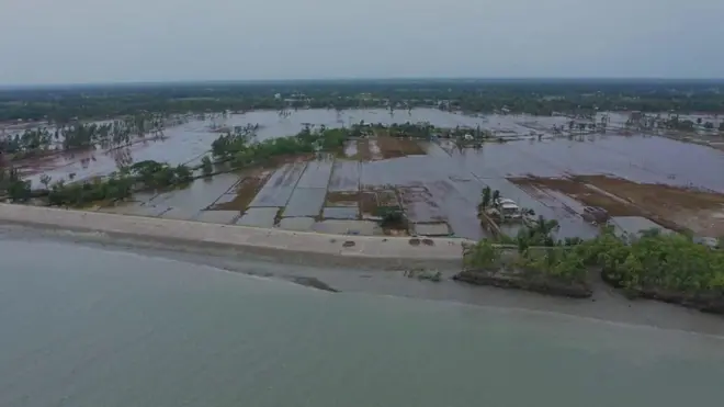 सुंदरबन