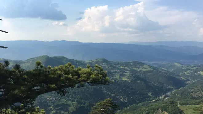 Још увек незагађена природа на планини Тари