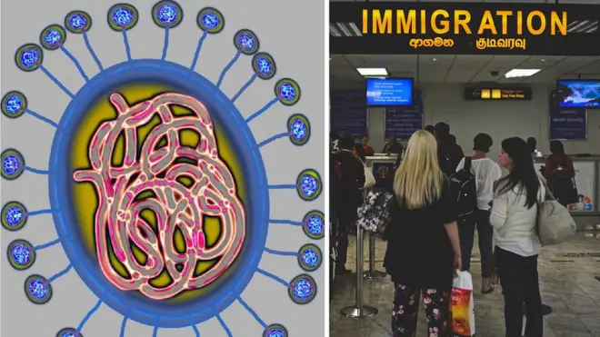 කොරෝනාවෛරස් අතරින් මිනිසුන්ට ආසාදනය වන්නේ වෛරස් 6ක් පමණි. (නව වෛරසයත් සමග එය 7 දක්වා ඉහළ යනු ඇත.)