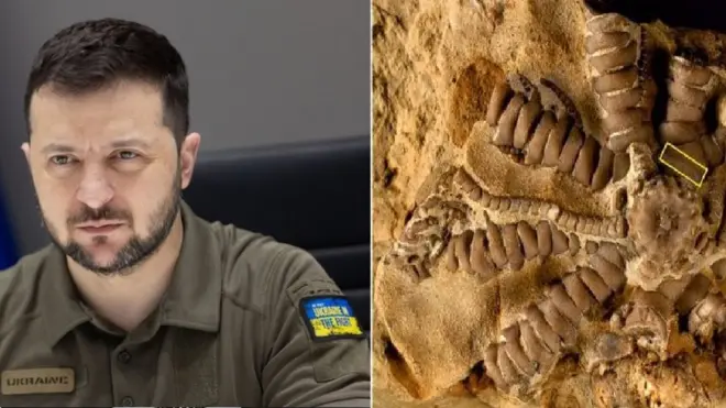 Лілія Зеленського