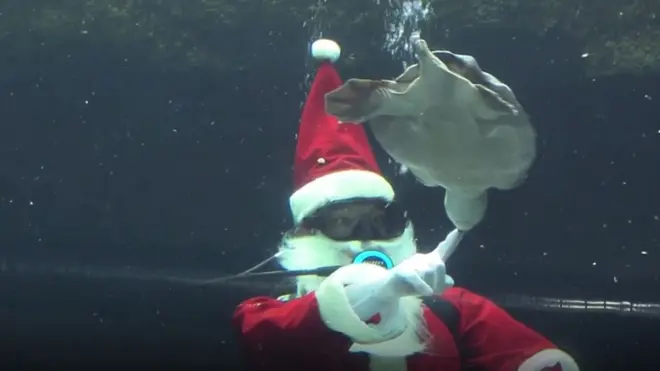 Санта-Клаус в акваланзі тішить публіку в Японії