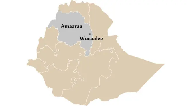 Danaa naannoo Amaaraa, Wucaalee agarsiisu