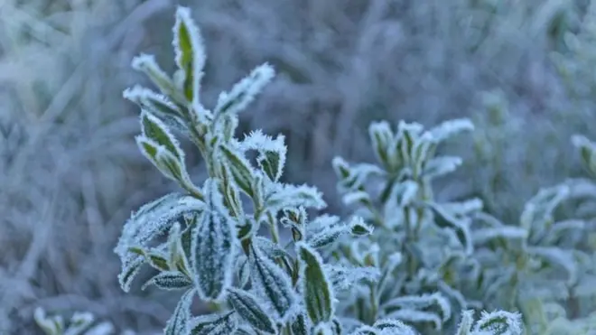 Mudança climática aumenta frequênciaslot 27 winseventos extremos, inclusive frio