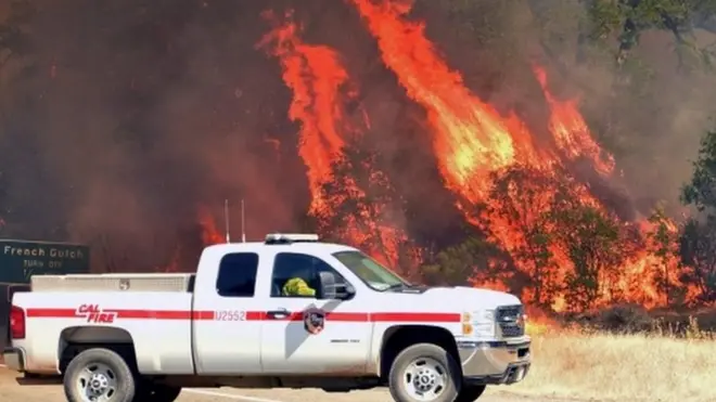 जंगल में लगी आग