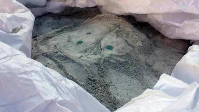 Каук сообщают следоваатели, кокаин был предназначен для США