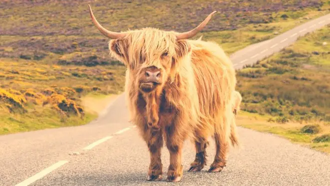 बीबीसी ट्रेवल