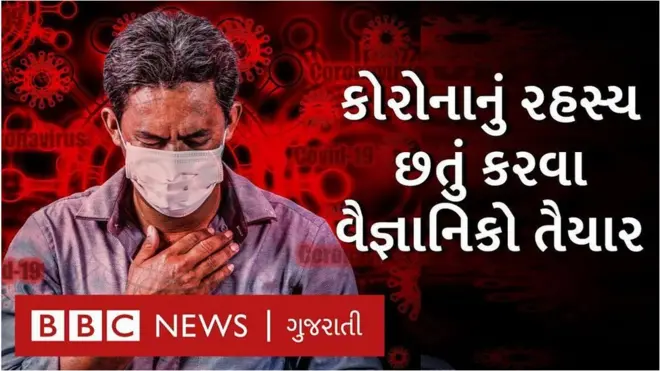 દુનિયામાં કોરોના મહામારી ફેલાવવા માટે ખરેખર કોણ જવાબદાર?