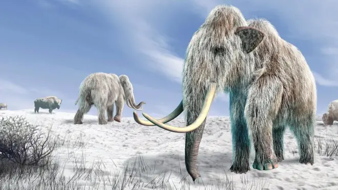 حيوانات الماموث المنقرضة
