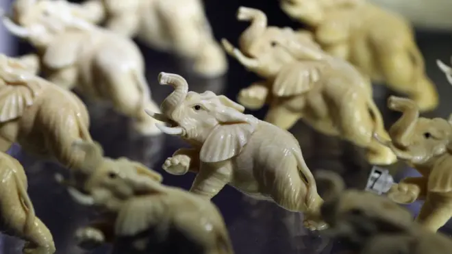 Ivory ornaments are increasingly being carved into bangles and pendants in Africa