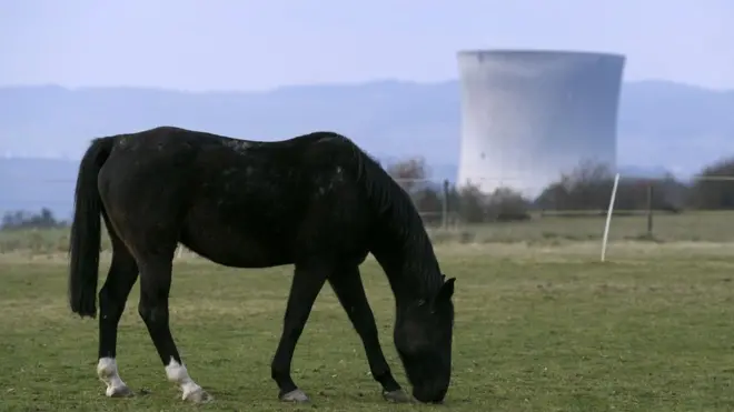 АЕС в Швейцарії