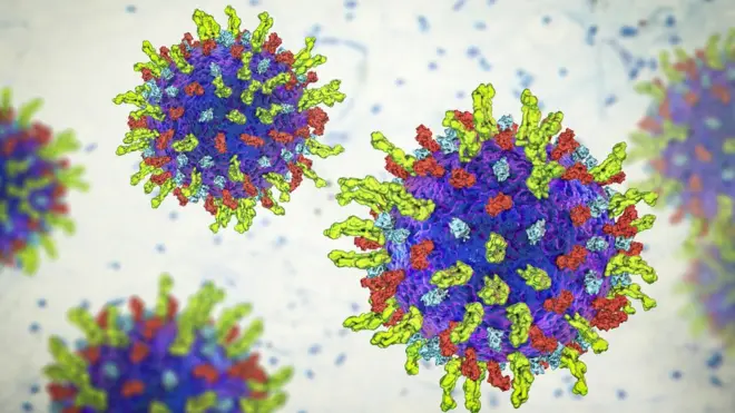 Herpes simplex virus