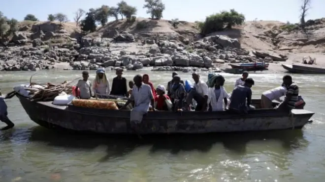 Namoota laga qaxxaamuraa turan