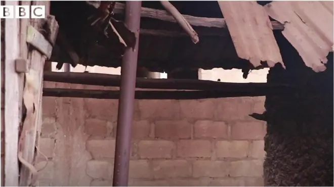 Abẹwo BBC si Arigidi Akoko nilu TB Joshua