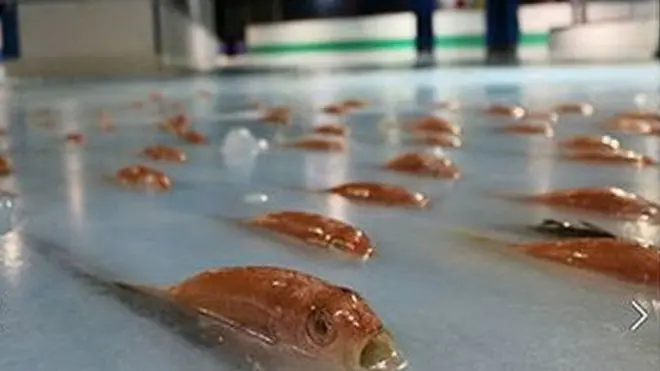 سپیس ورلڈ' نامی اس تھیم پارک کا افتتاح گذشتہ ماہ ہوا تھا