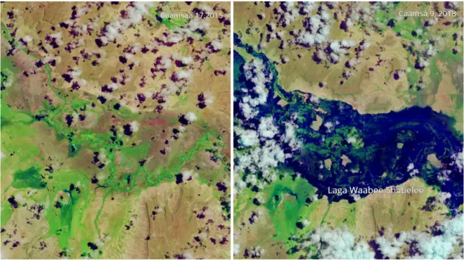 laga shabelee, 2015 fi 2018