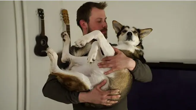 110 очаровательных собак