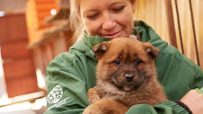 Lola Webber with a rescued dog