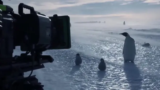 بي بي سي تعرض سلسلة وثائقيات عن الطبيعة تحت عنوان السلالات، وتتطرق إحدى الحلقات إلى طائر البطريق. وخلال تصوير تلك الحلقة وجد طاقم التصوير مجموعة من البطاريق عالقة في واد.