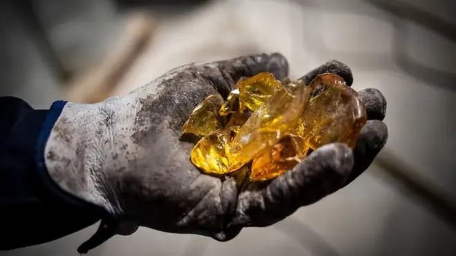 Resin dari pohon pinus yang menjadi alternatif masa depan pengganti minyak bumi.