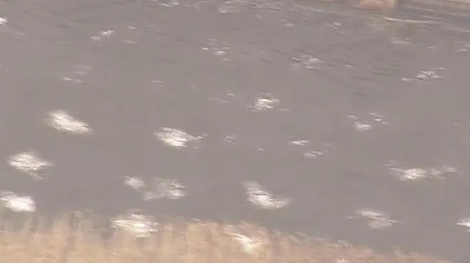 زلزال بقوة 7.3 درجات يضرب سواحل اليابان وسط تحذيرا من تسونامي.