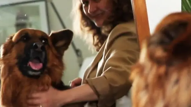 Моя собака защищает меня от обидчика