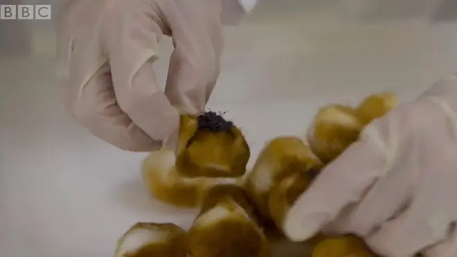 일반담배와 전자담배 비교