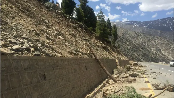 پاکستان جنگلات