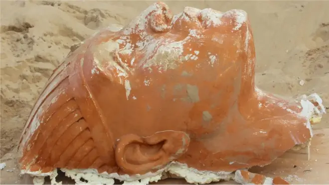 वाळूखाली पुरलेलं शहर