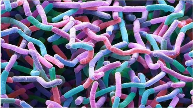 La découverte de nouveaux antibiotiques donne de l'espoir, selon les scientifiques de l'Université de Rockefeller.