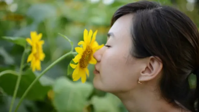 خلص العلماء إلى وجود صلة قوية بين فقدان حاسة الشم والخرف