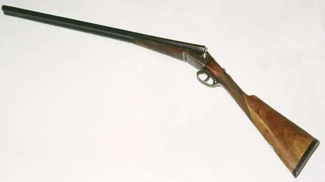 Охотничья двустволка