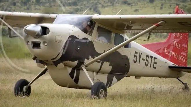개체 수 조사를 위해 헬기와 경비행기도 동원됐다