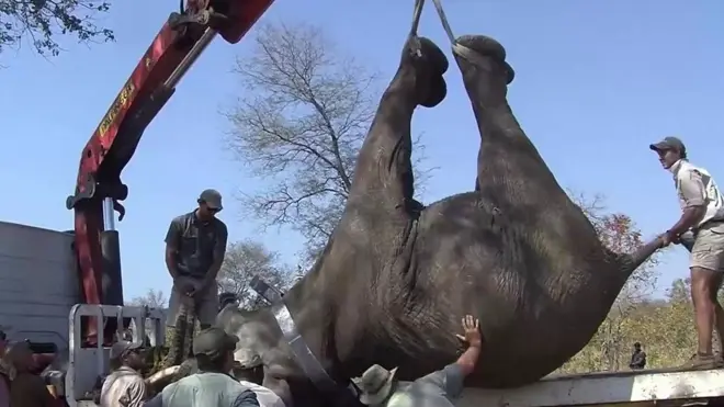 वासस्थान