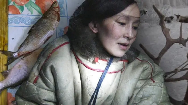 Иванна, рыба, олени.