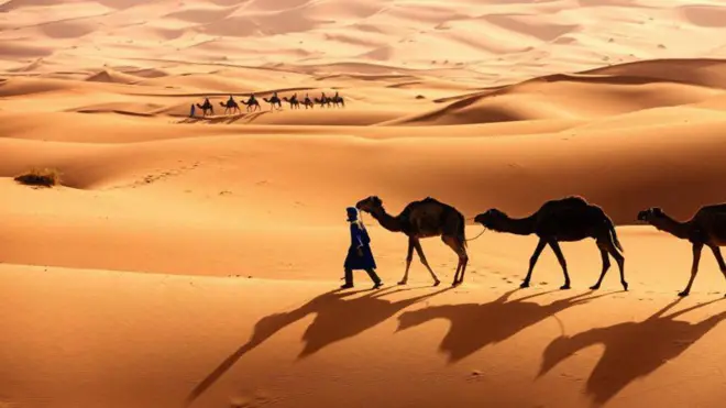 आज का सऊदी अरब पहले बेडौइन जनजातियों का खानाबदोश क्षेत्र था