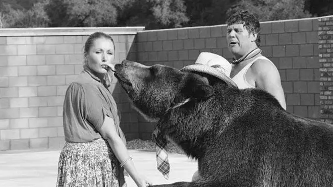 Bear