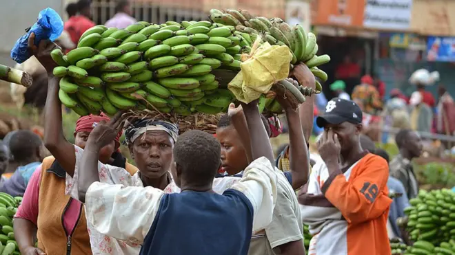 A woman carries a bushel of bananas on her head as she takes them through a market.