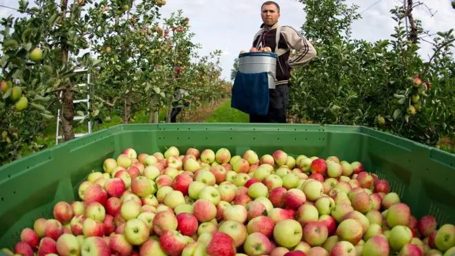 Польша и другие страны Восточной Европы были зависимы от экспорта продуктов питания в Россию