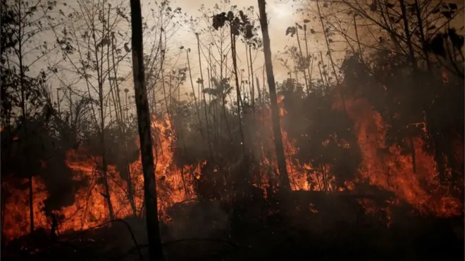 Três cidades do Pará registraram aumentoquantos saque por dia na realsbetqueimada no chamado 'Dia do Fogo': Novo Progresso, Altamira e São Félix do Xingu