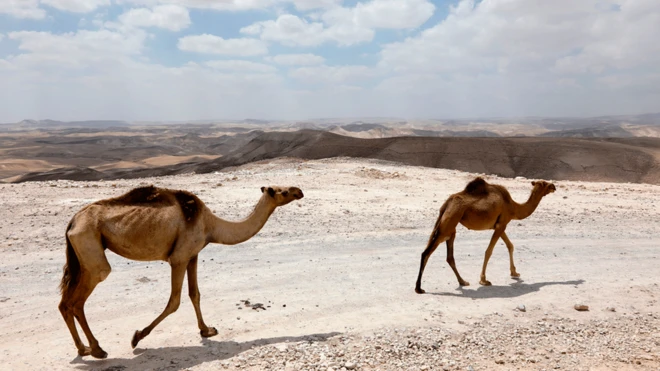 Možda su se uputile ka Lebanu