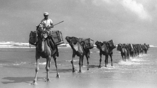 Караван верблюдов в Палестине в 1936 году