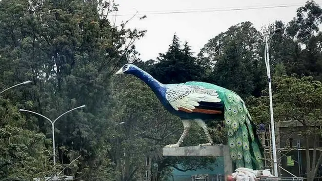 Gosa simbiraa eegee dheerattu piikook jedhamtu