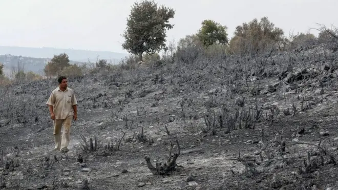 A man looks at burned farmland near Tartous, Syria (11 October 2020)3