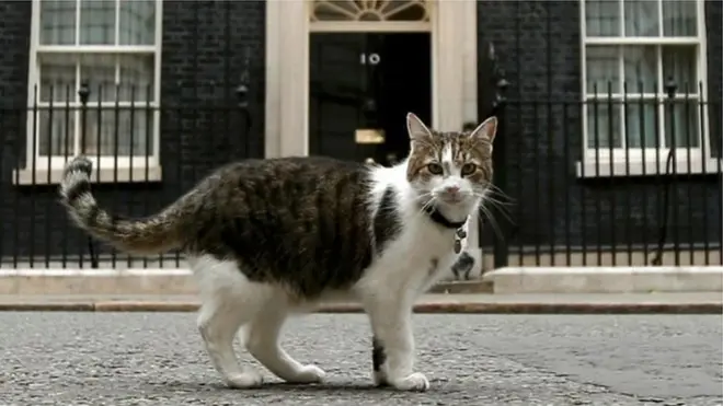 Ларрі бореться з мишами у офісі прем'єра