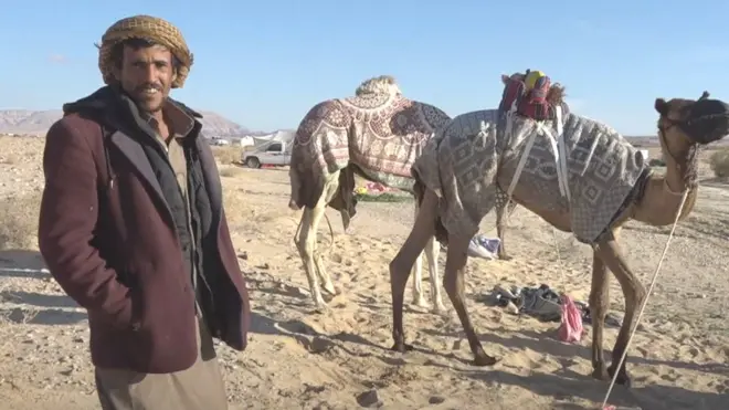 سباق الجمال في جنوب سيناء