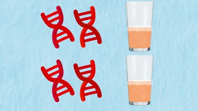 Model DNK i čaša alkohola