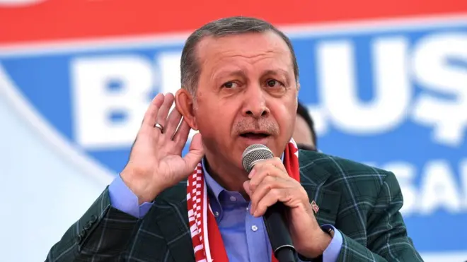 Presiden Erdogan mengatakan konstitusi yang baru akan "mendatangkan stabilitas".